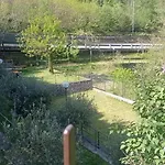 Bracchetto Vetta Carrodano Inferiore