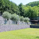 Bracchetto Vetta *