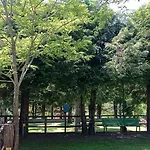 Bracchetto Vetta Campingplads *