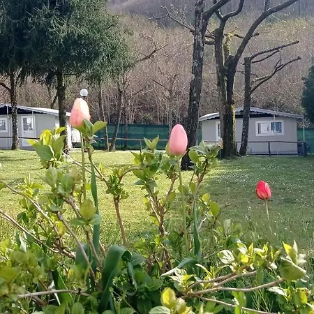 Parco Vacanze Bracchetto Vetta