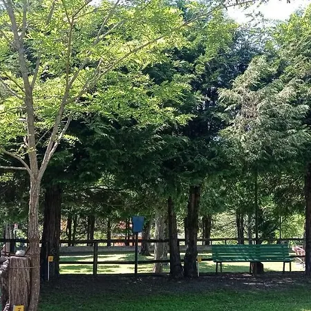 Parco Vacanze Bracchetto Vetta Campsite *