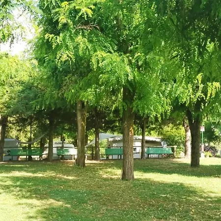 Campsite Parco Vacanze Bracchetto Vetta Carrodano Inferiore