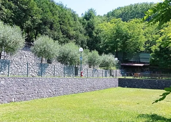 Bracchetto Vetta *