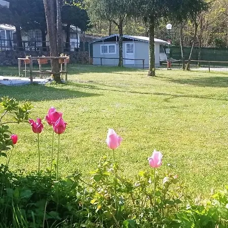 Parco Vacanze Bracchetto Vetta *